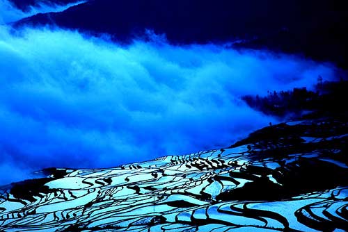 春游国内最美梯田