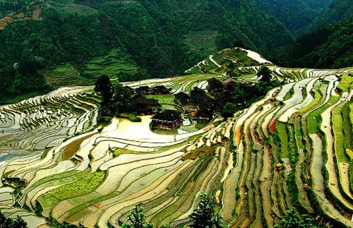 春游国内最美梯田