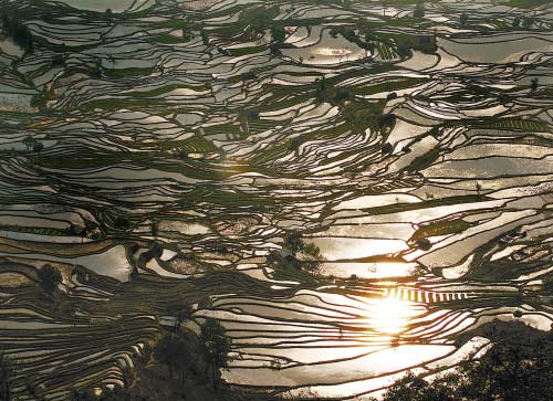 春游国内最美梯田