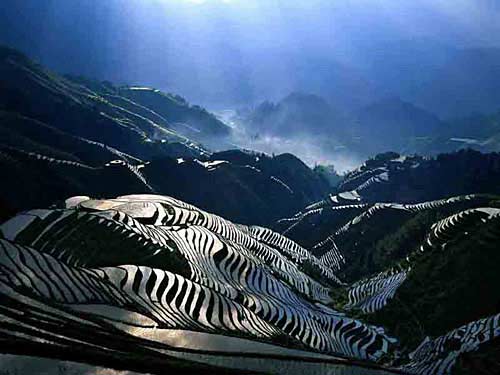 春游国内最美梯田