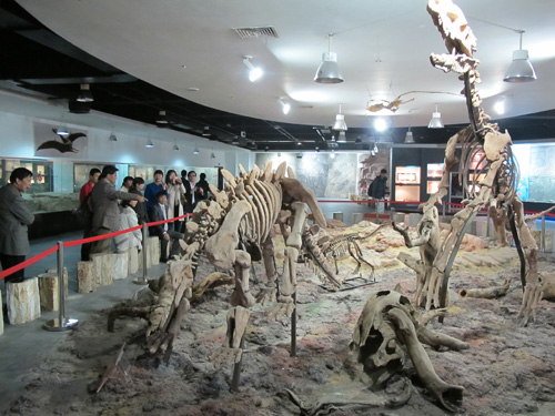 浙江东方地质博物馆正式开馆 首展世界最大萤石