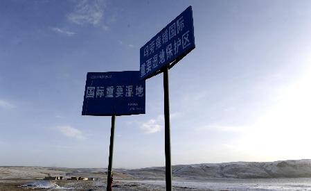 高原美景：阿里湿地