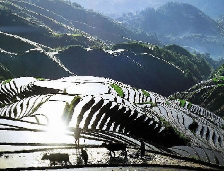 探访中国最美珍稀景观