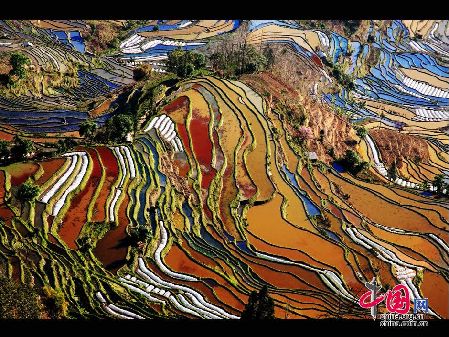 探访中国最美珍稀景观