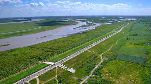 万顷松江湿地 百里生态长廊