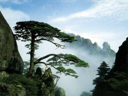 中秋节八大赏月胜地推荐（组图）