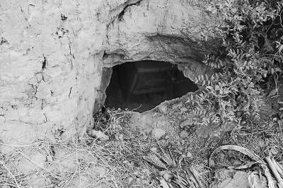 洛阳古代皇族陵遭破坏被盗 皇族陵成为百姓冢/图