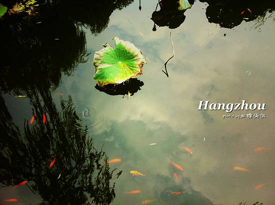 悠游人间天堂 赏雨后西湖美景