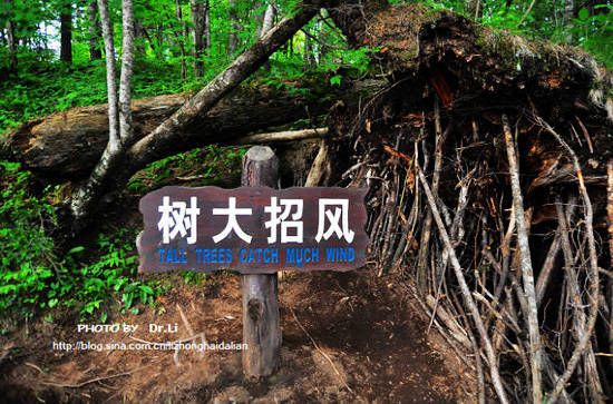 游长白山大峡谷 探秘“中国的科罗拉多”（图）