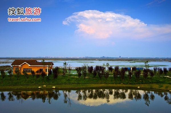 “吃主”分享吃蟹路线 海鲜攻略网上热传