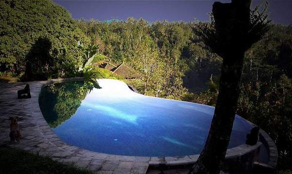 盘点仙境般的游泳池