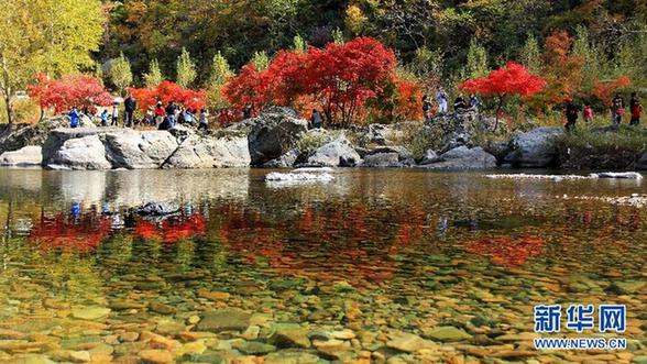 全国各地唯美秋景盘点