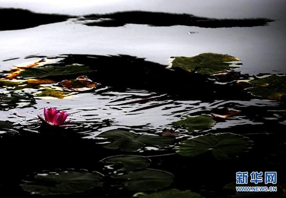 全国各地唯美秋景盘点