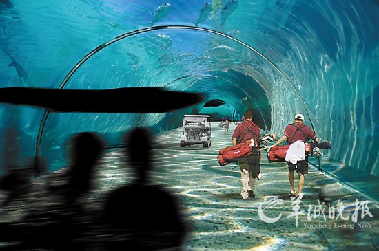 马尔代夫即将建成奇妙的漂浮高尔夫球场(图)