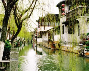 西塘风月 水乡画廊(图)