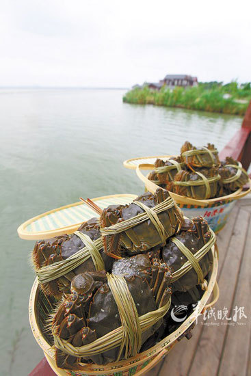 食客召集令:去美食原产地吃翻天(图)