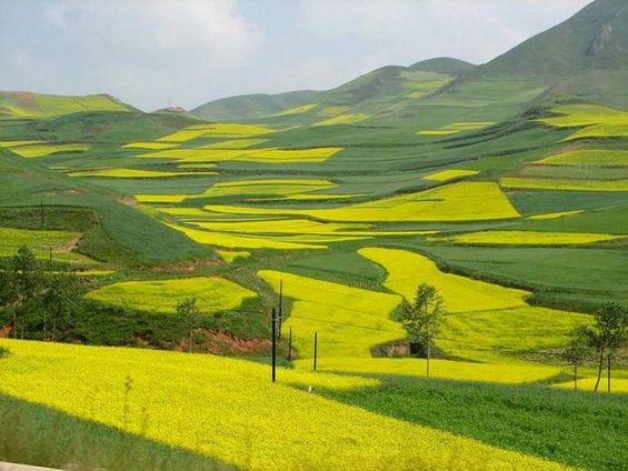 老外眼中中国最美的风景