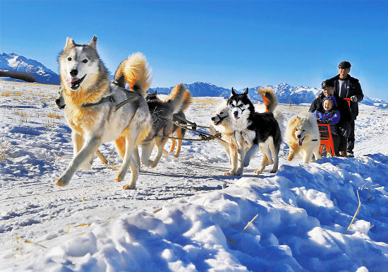 去西部玩雪 别样感“冻”特色冰雪游