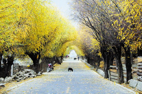 去西部玩雪 别样感“冻”特色冰雪游