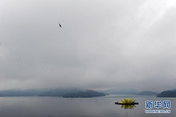 烟雨日月潭 别具情调