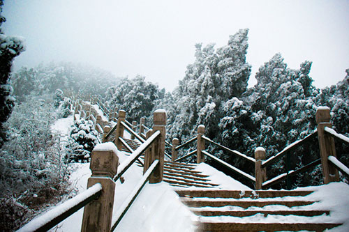 西安古城赏最美雪景 漫步其中恍如仙境