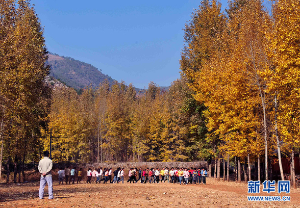 让人hold不住的乡村美景