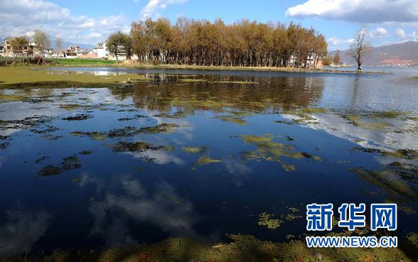 生态大理冬日印象(图)