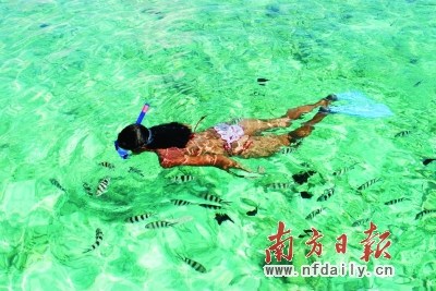塞舌尔：地球上最后的伊甸园（组图）
