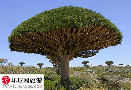 世界上最古怪的世界奇迹(组图)
