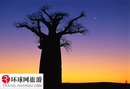 世界上最古怪的世界奇迹(组图)
