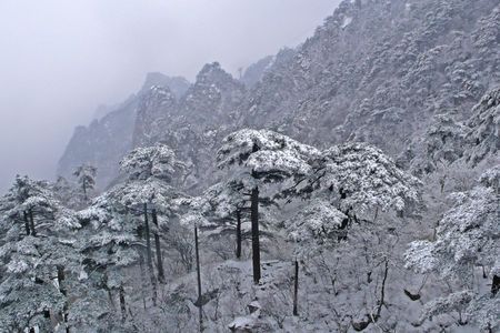元旦小假期弃