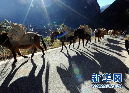 贡山景色：风光绚丽 景色诱人