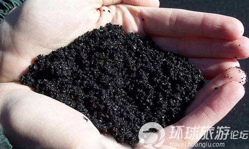 世界上罕见的黑色沙滩(图)