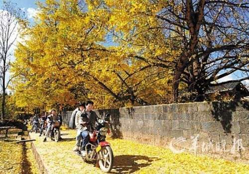 春节旅游五大国内热门旅游地推荐