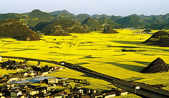 踏春而去只为追寻花的姿态 全球花海推荐(组图)