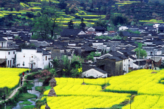 3月去婺源 我和春天有个约会