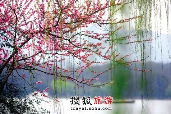 春暖花开 3月最佳出游地推荐