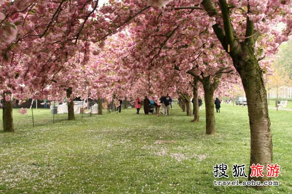 春暖花开 3月最佳出游地推荐