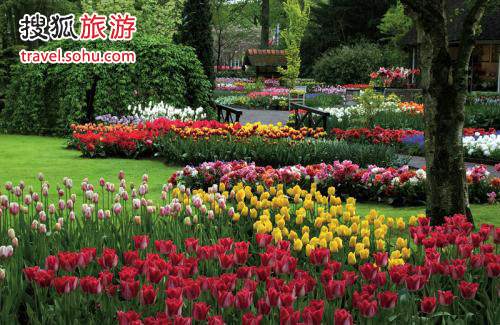 春暖花开 3月最佳出游地推荐