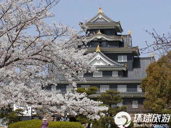 2012日本赏樱全攻略