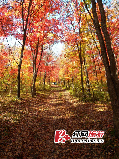 在最美时候遇见最美风景