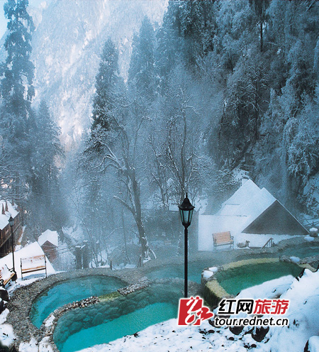 在最美时候遇见最美风景