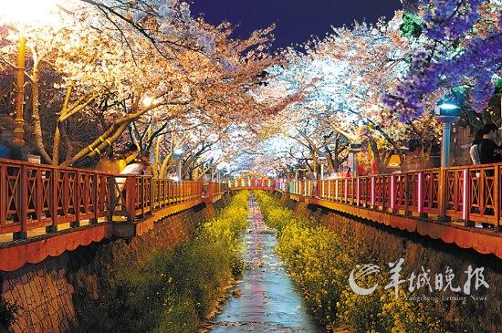 炮制清明7天长假 出境叹世界异国春色（组图）