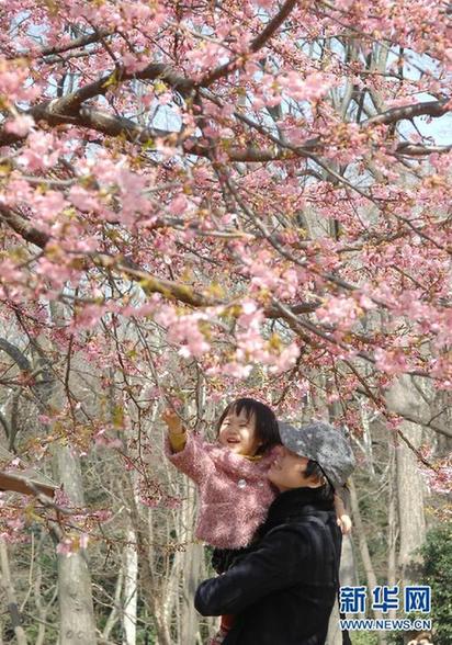 日本：东京春暖花开
