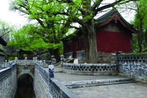 近处也有好风景 北京周边行旅行佳地推荐（图）