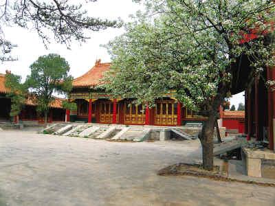 媒体探访故宫未开放区：文物已经搬存别处