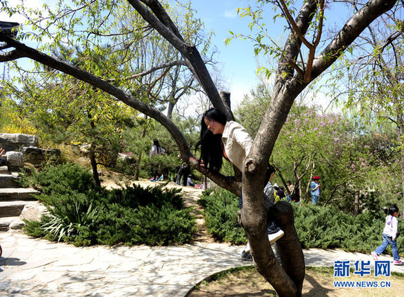赏花源自爱花 爱花还需惜花