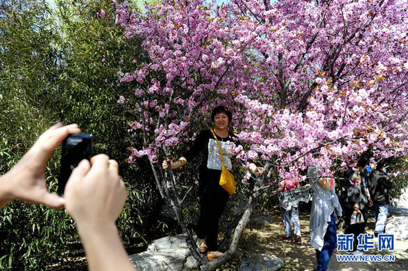 赏花源自爱花 爱花还需惜花