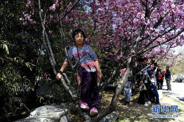 赏花源自爱花 爱花还需惜花