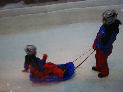 走进奢华的迪拜生活：一个车牌价值60万(组图)